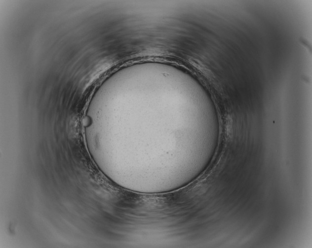 X0000103471258200809191827