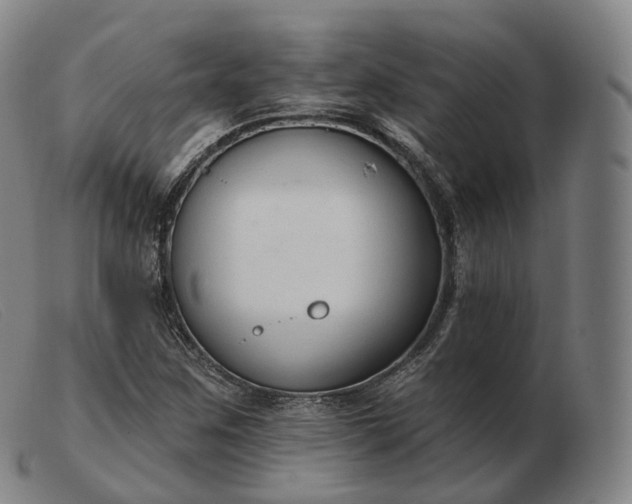 X0000103471259200809191827