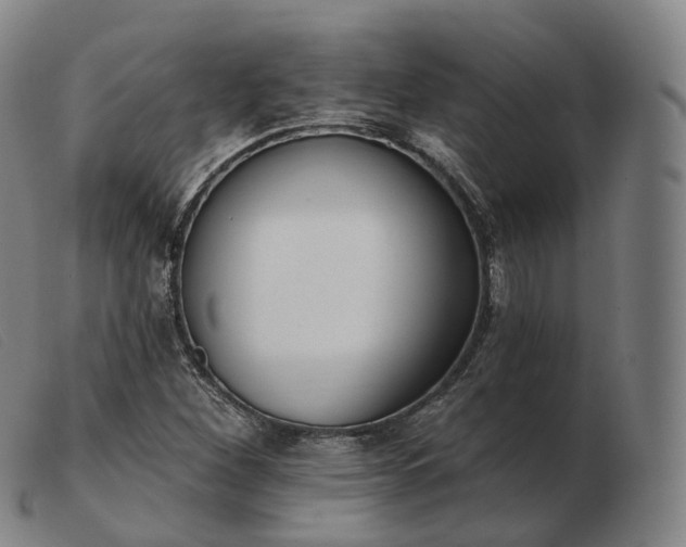 X0000103471260200809191827