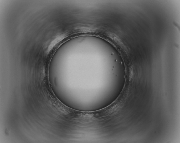 X0000103471261200809191827