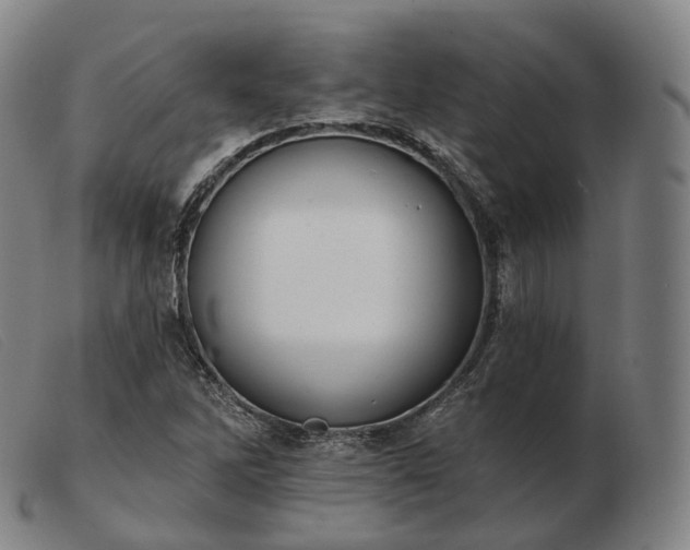 X0000103471262200809191827