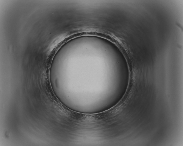 X0000103471263200809191827