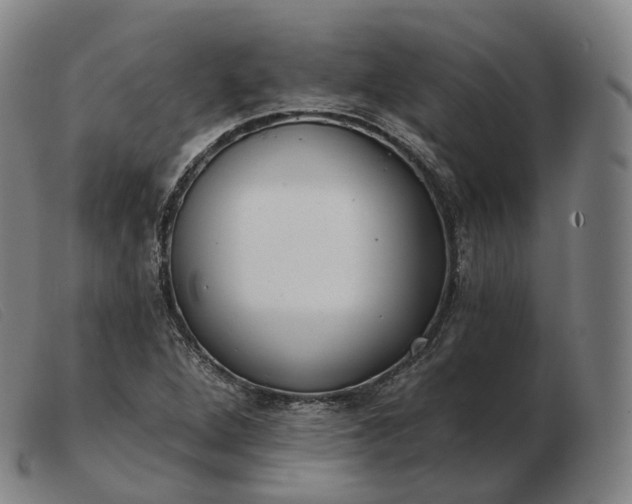 X0000103471264200809191827