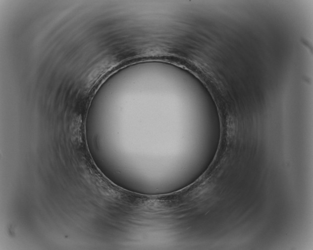 X0000103471265200809191827