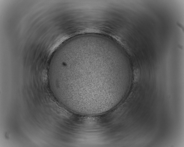 X0000103471266200809191827