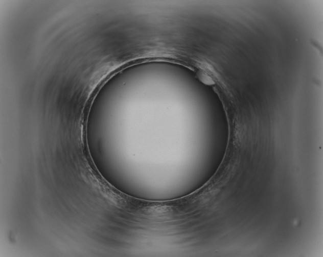 X0000103471268200809191827