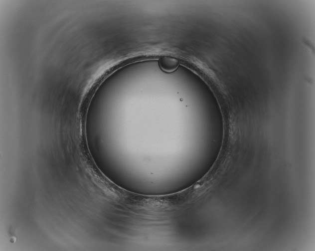 X0000103471270200809191827