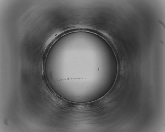 X0000103471271200809191827