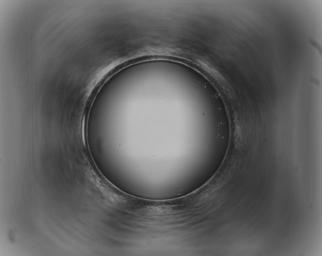 X0000103471272200809191827