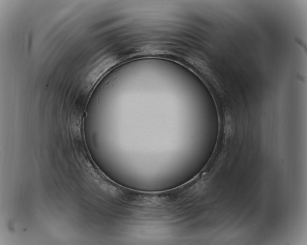 X0000103471273200809191827