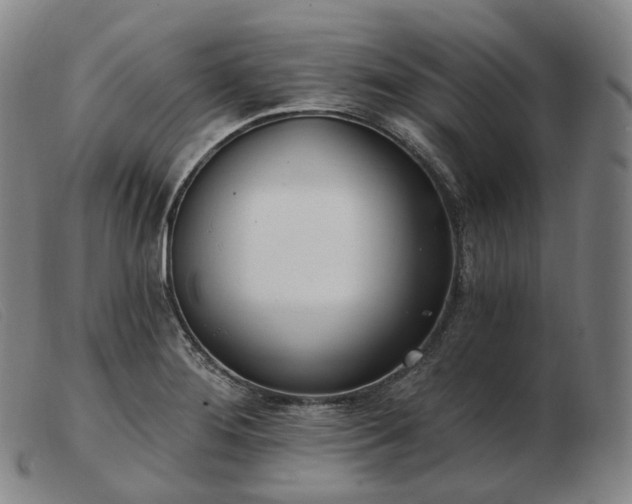 X0000103471276200809191827