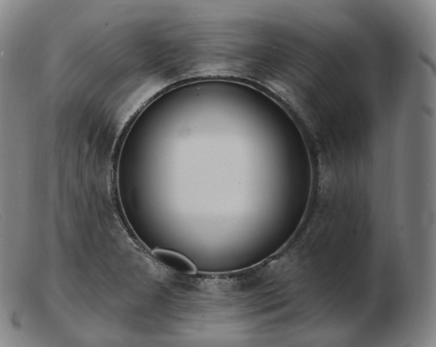 X0000103471277200809191827