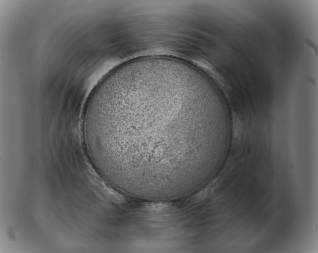 X0000103471278200809191827