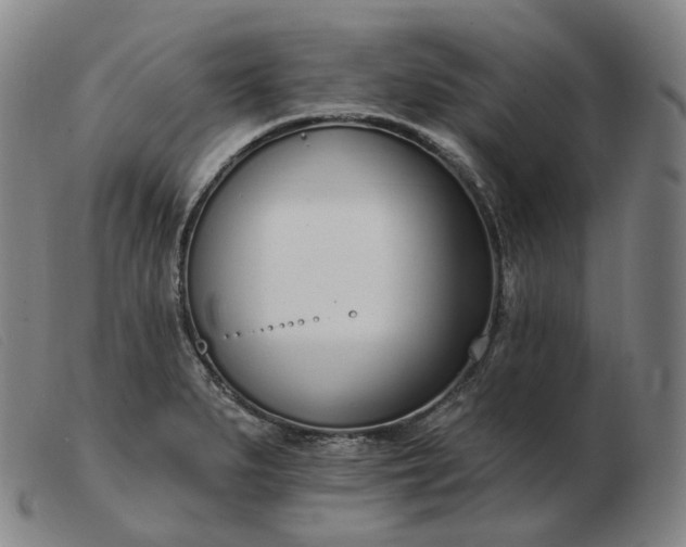 X0000103471279200809191827