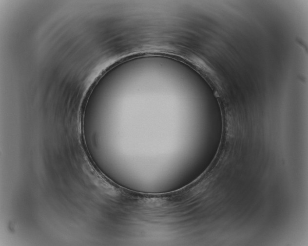 X0000103471280200809191827