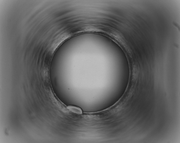 X0000103471281200809191827