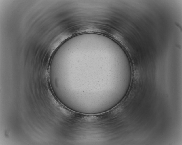 X0000103471282200809191827