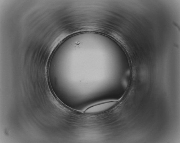 X0000103471283200809191827