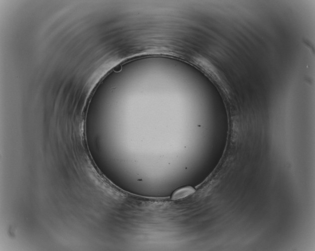 X0000103471284200809191827