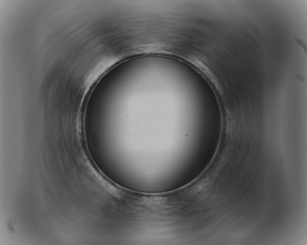 X0000103471285200809191827