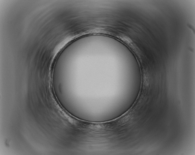 X0000103471286200809191827