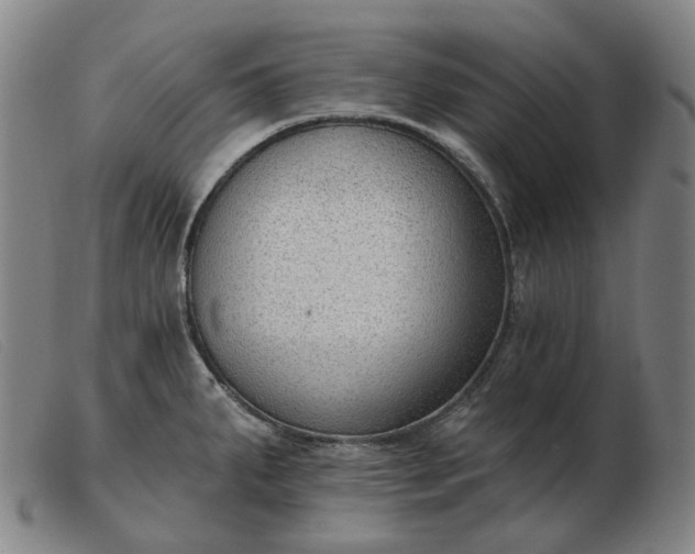 X0000103471287200809191827