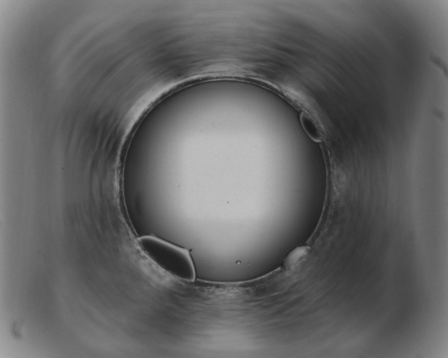 X0000103471288200809191827