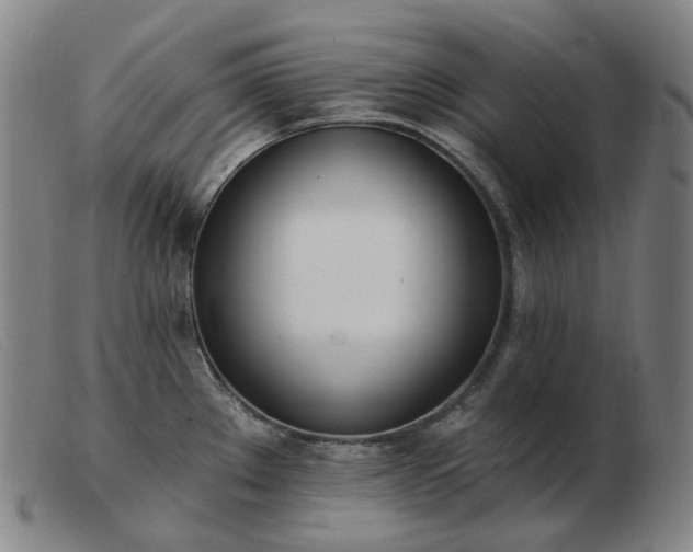 X0000103471289200809191827