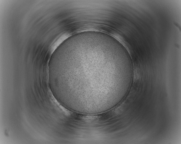 X0000103471290200809191827