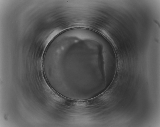 X0000103471291200809191827