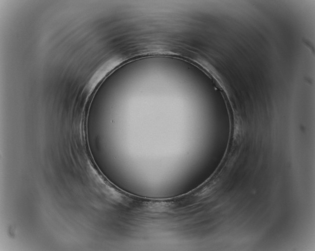 X0000103471293200809191827