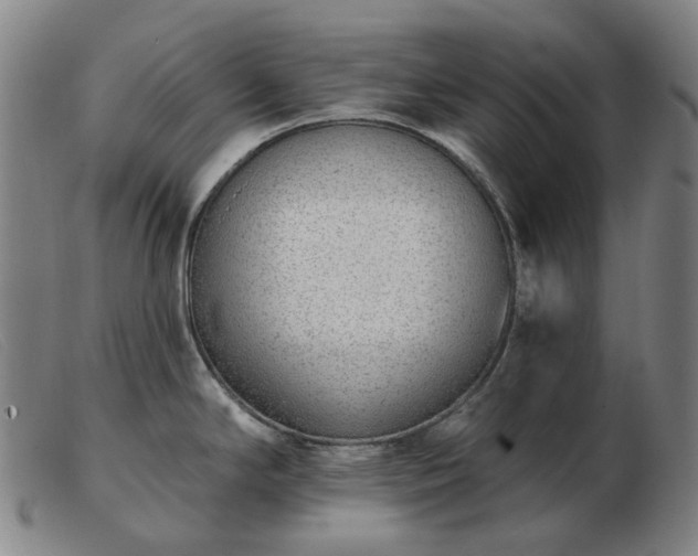 X0000103471294200809191827