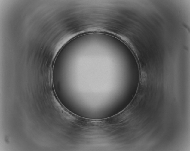 X0000103471295200809191827