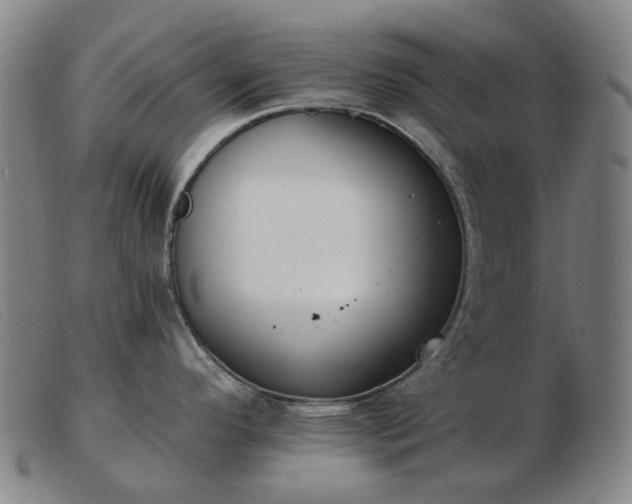 X0000103471296200809191827