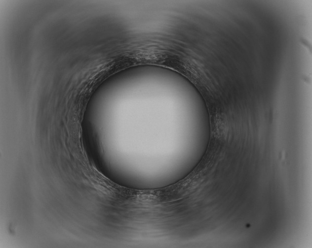 X0000103471297200809191826