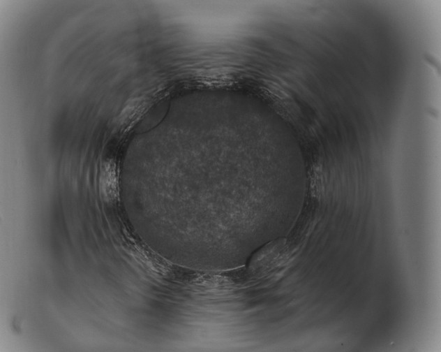 X0000103471298200809191826