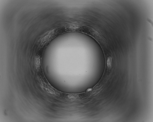 X0000103471299200809191826