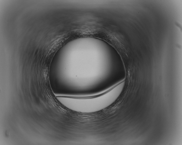 X0000103471300200809191826