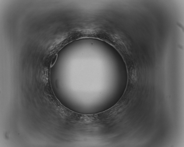 X0000103471301200809191826