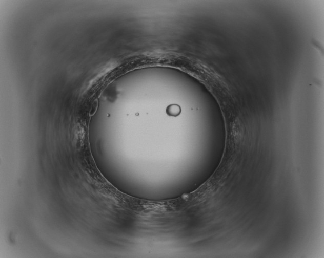 X0000103471302200809191826