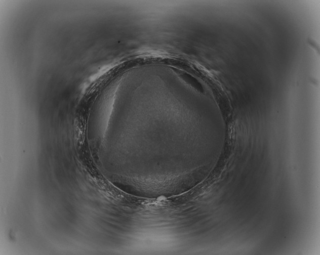 X0000103471303200809191826