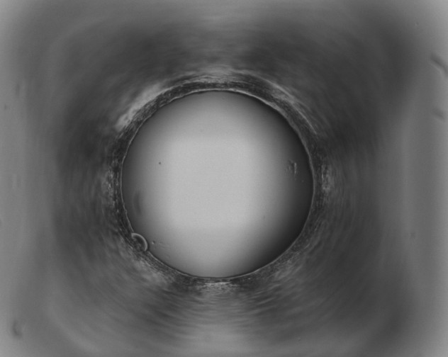 X0000103471304200809191826