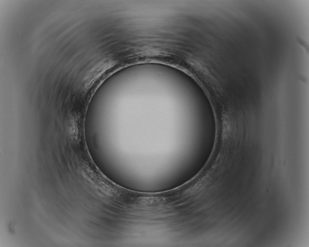 X0000103471305200809191826