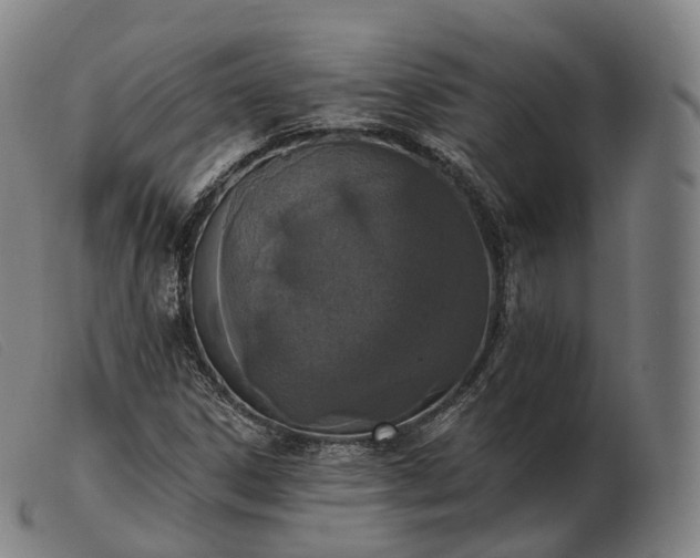 X0000103471306200809191826