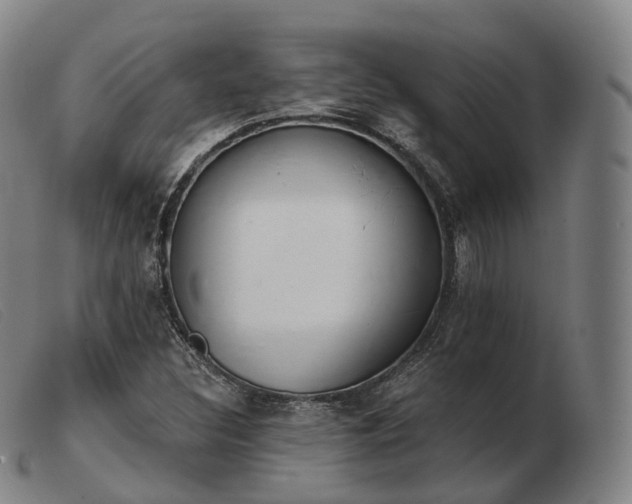 X0000103471308200809191826