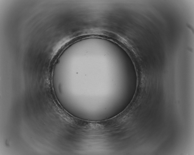 X0000103471312200809191826