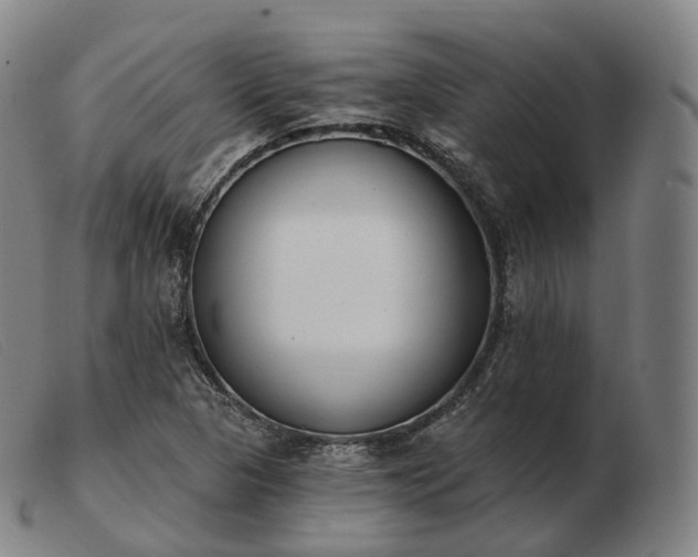 X0000103471313200809191826