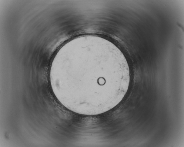 X0000103471314200809191826