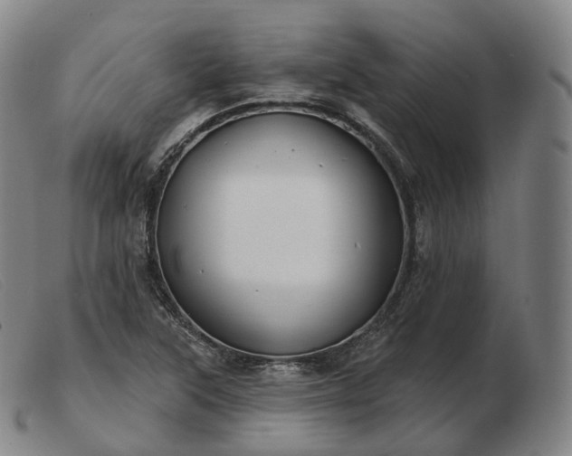 X0000103471315200809191826