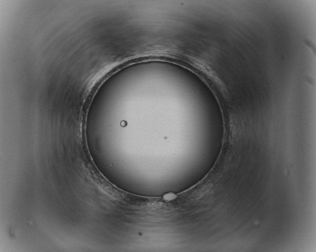 X0000103471316200809191826